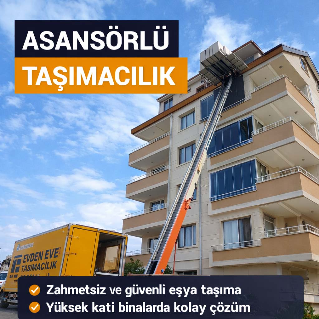 Asansörlü Taşımacılık